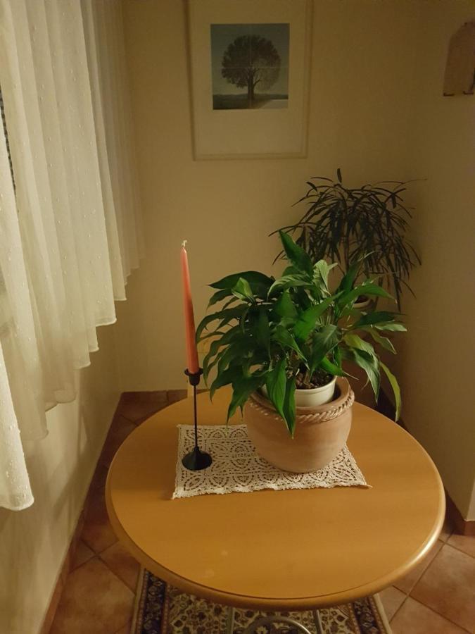 In Zentrumsnaehe Beim Hauptbahnhof Apartamento *