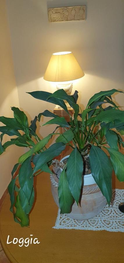 In Zentrumsnaehe Beim Hauptbahnhof Apartamento