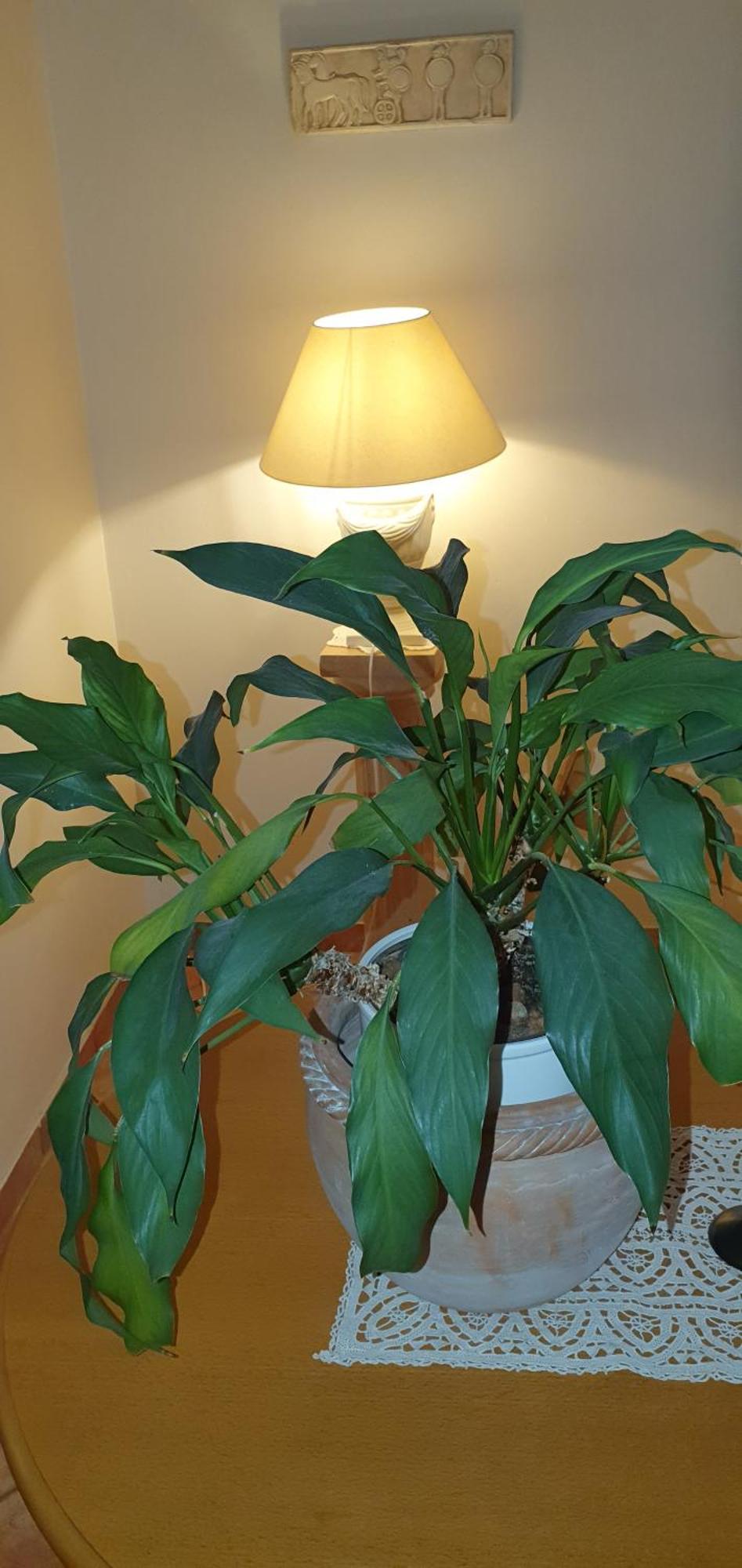 In Zentrumsnaehe Beim Hauptbahnhof Apartment Vienna